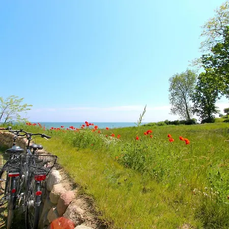 Rex Rugia Fewo12-7 Mit Schwimmbadnutzung Im Ahoi-sellin Lobbe