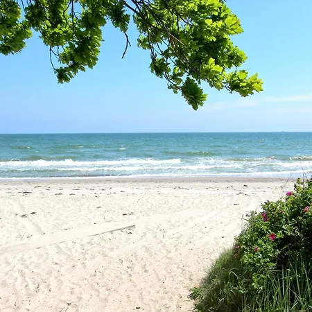 Rex Rugia Fewo12-7 Mit Schwimmbadnutzung Im Ahoi-sellin Appartement *